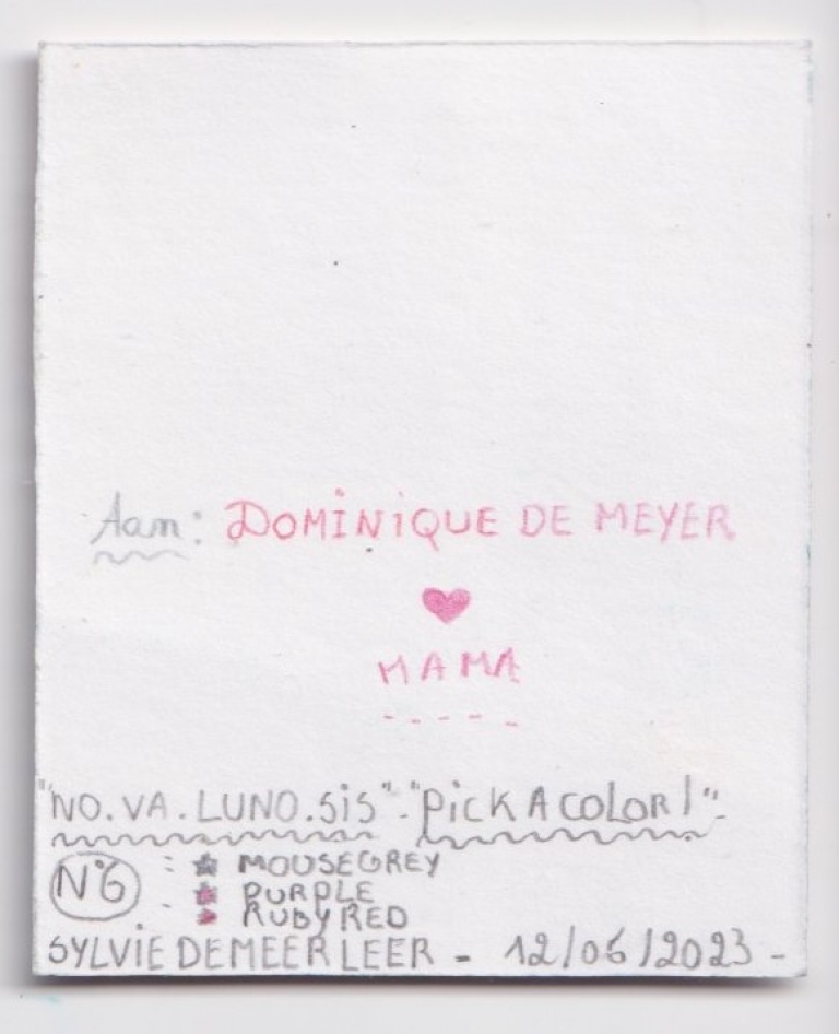 N°6 (back) - to Dominique De Meyer