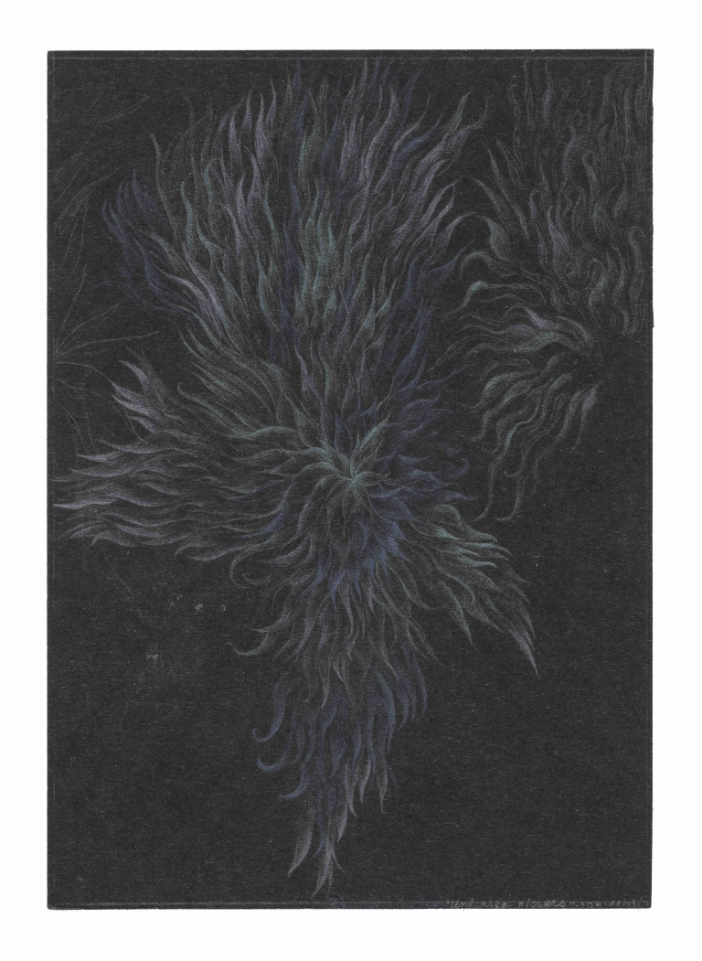 'The Undersea Flowers' (2023) - I