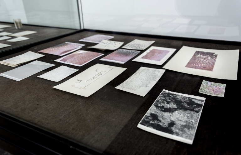 'I've never lied to you' -  exhibition view 03