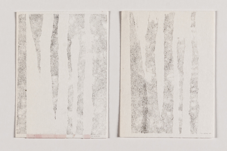 Needle drawing - Diptych 27/08/'17 + 03/09/'17