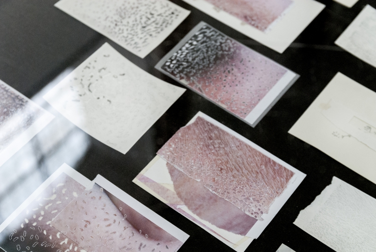 'I've never lied to you' -  exhibition view 11