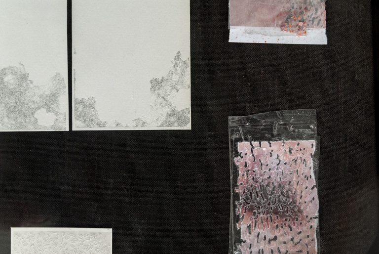 'I've never lied to you' -  exhibition view 15